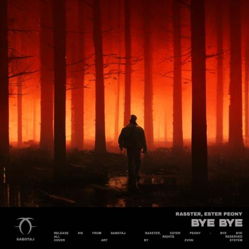 Rasster feat. Ester Peony - Bye Bye