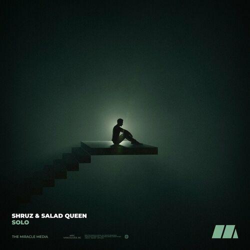 Salad Queen, ShruzSolo - Solo ( Remix )