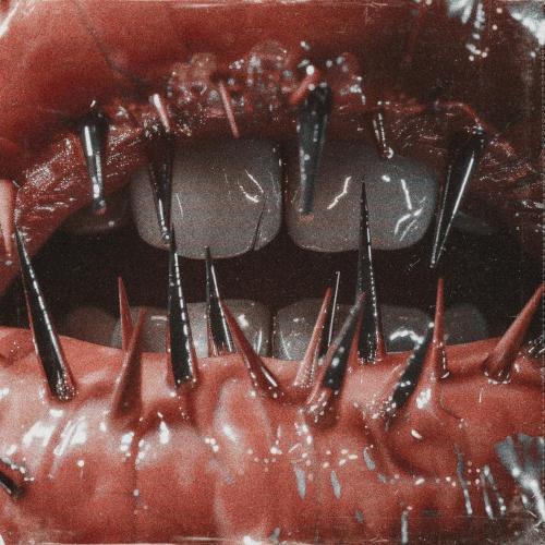 Saltwound - Empty From The Start
