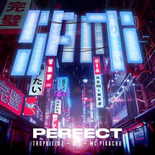 Sam i & Tropkillaz - Perfect (feat. BIA & Mc Pikachu)