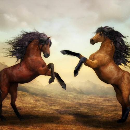 Savfk - All the King's Horses