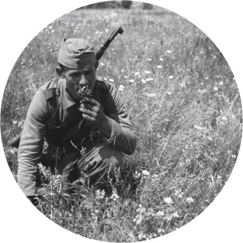 Sev Dah - Juriš 2