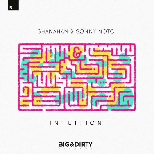 Shanahan & Sonny Noto - Intuition