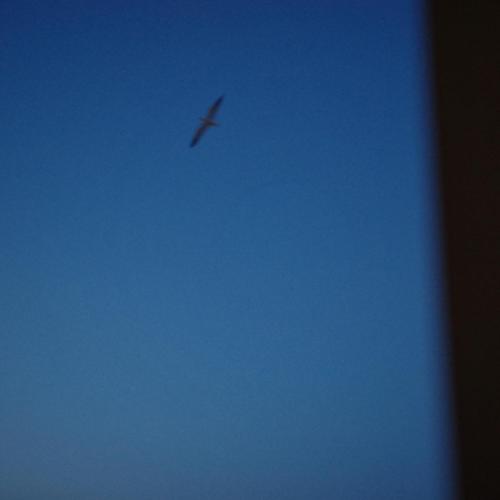slowburn - Imaginary Friends