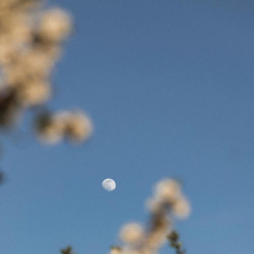 slowburn - our little paradise