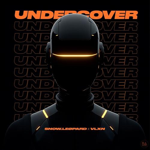 snow.LEØPARD & VLXN - Undercover