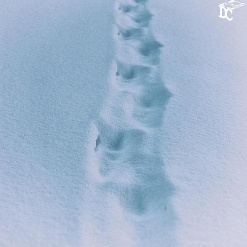 Sobe - Snowy Walk