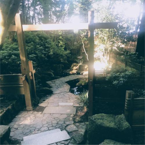Spielo - Wandering the Woods