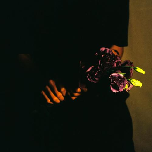 Supersilverhaze - Siempre, Siempre