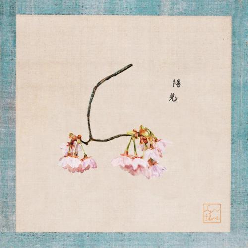 synfilums & Itoko Toma - Yoko