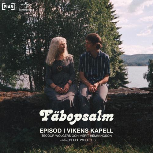 Teodor Wolgers - Fabopsalm