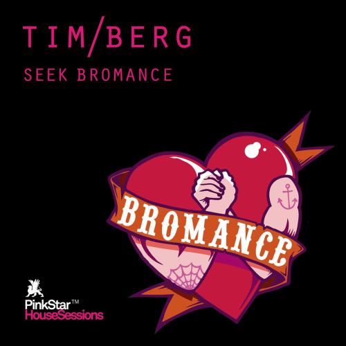 Tim Berg - Seek Bromance (Avicii Vocal Edit)
