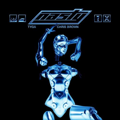 Tyga feat. Chris Brown - Nasty