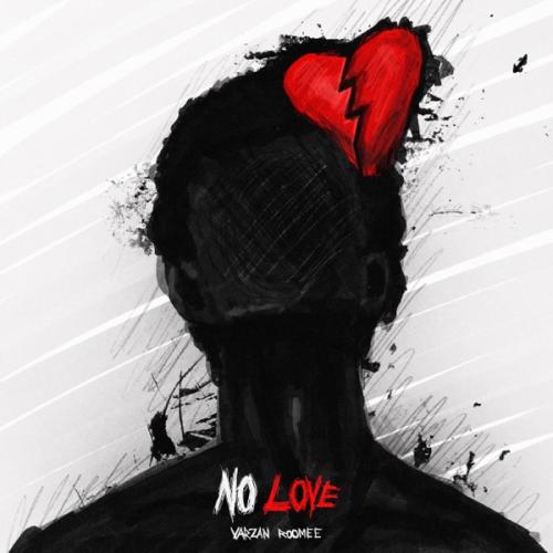 Varzan feat. Roomee - No love