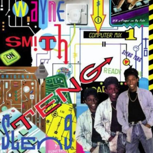 Wayne Smith - Under Me Sleng Teng