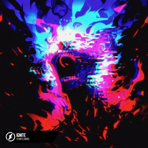 X-Ray & NXRD - Ignite