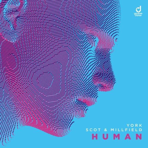 York & Scot & Millfield - Human