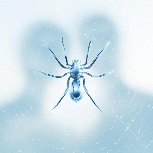 Zetra - The Spider