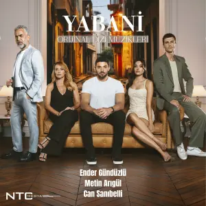 Музыка из сериала Дикий