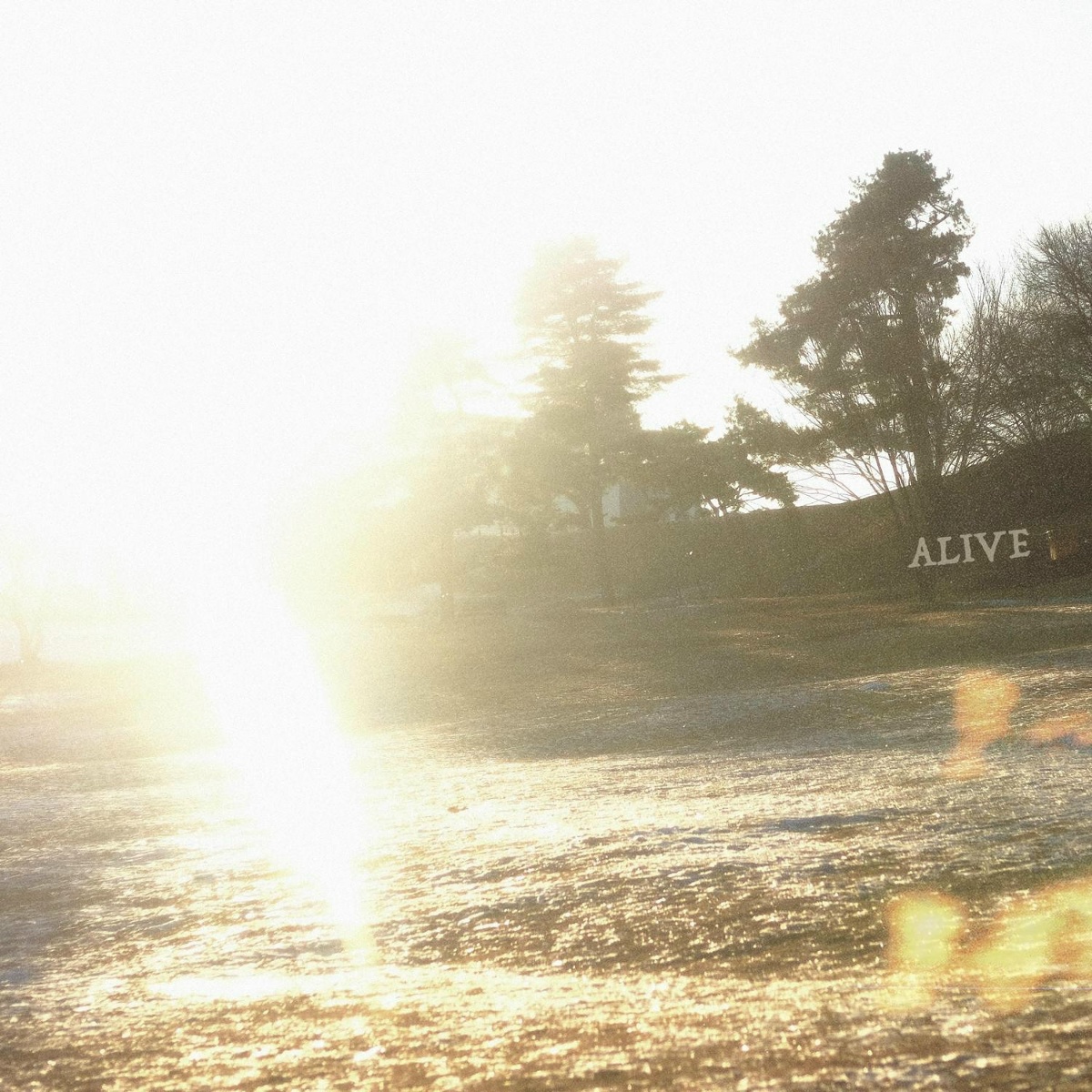 Jicheon - Alive