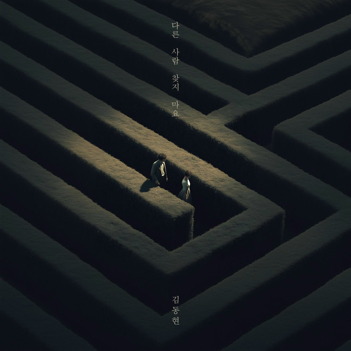 Kim Dong Hyun - No One Else