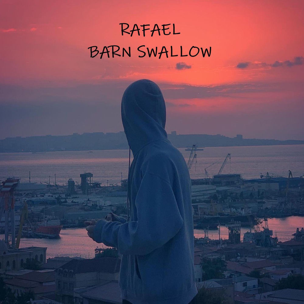 Rafael - Barn Swallow